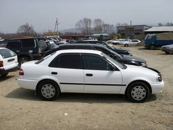 1998 Toyota Corolla