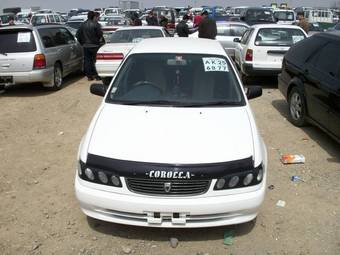 Corolla