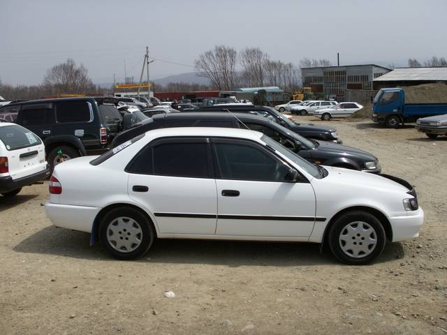 1998 Toyota Corolla