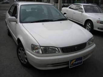 1998 Toyota Corolla