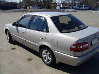 1998 Corolla