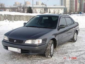 Corolla