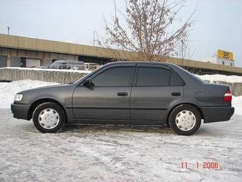 1998 Corolla