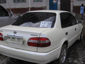 1998 Toyota Corolla