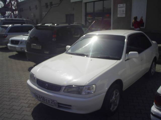 1998 Toyota Corolla