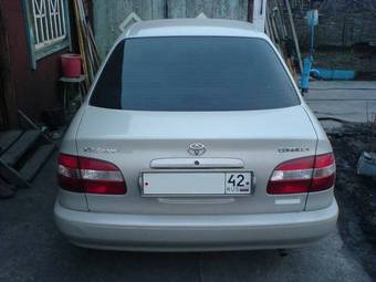 Corolla