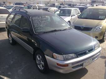1998 Corolla