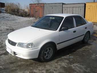 1998 Corolla