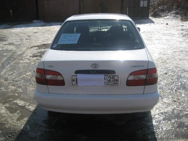 1998 Toyota Corolla
