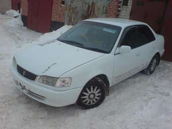 1998 Toyota Corolla