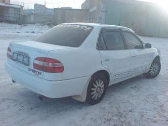 Corolla