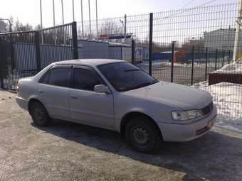 1998 Toyota Corolla