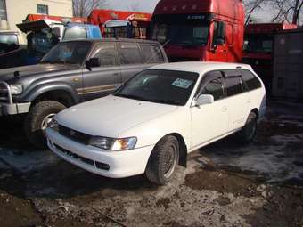 1998 Toyota Corolla