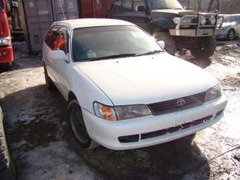 Corolla