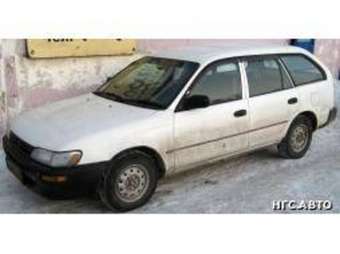 1998 Toyota Corolla