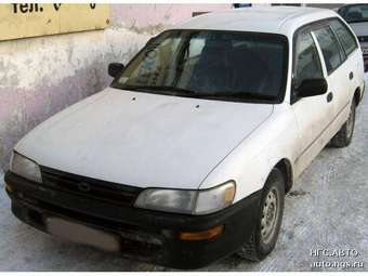 Corolla