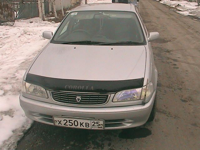 1998 Toyota Corolla