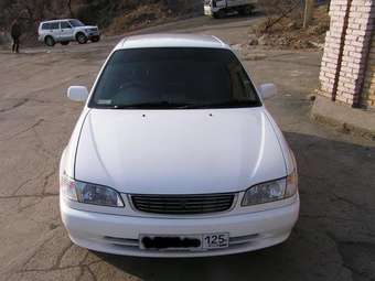 1998 Toyota Corolla