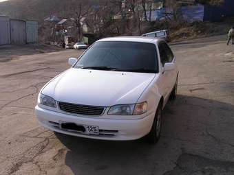 Corolla