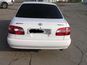 1998 Corolla