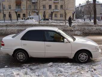 1998 Corolla