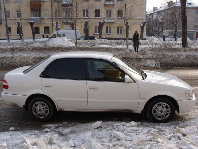 1998 Toyota Corolla