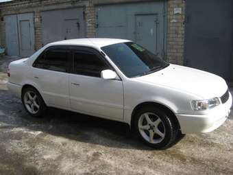 Corolla