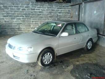 Corolla
