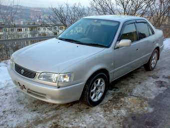 1998 Toyota Corolla