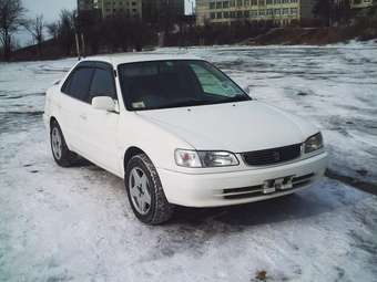 1998 Toyota Corolla