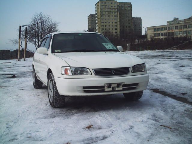 1998 Toyota Corolla