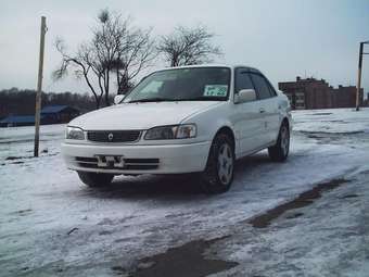 1998 Corolla
