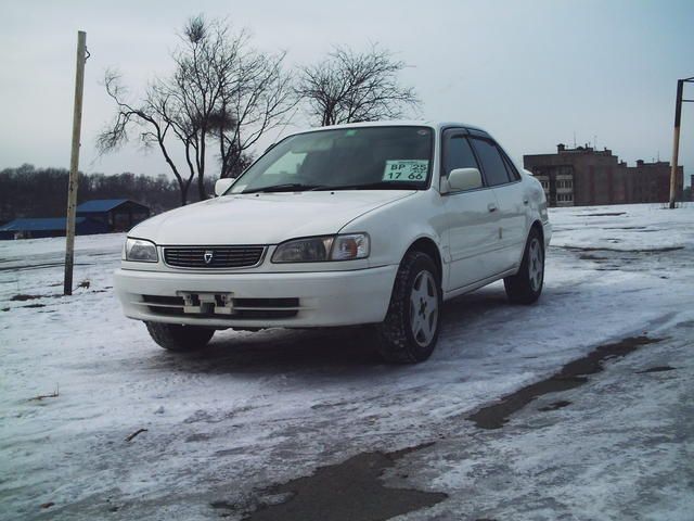 1998 Toyota Corolla