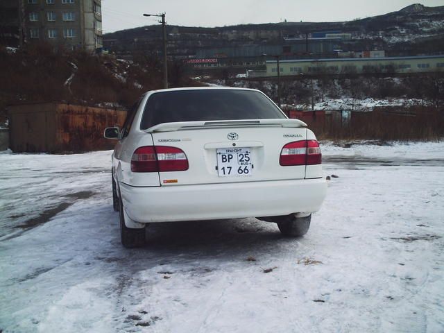 1998 Toyota Corolla