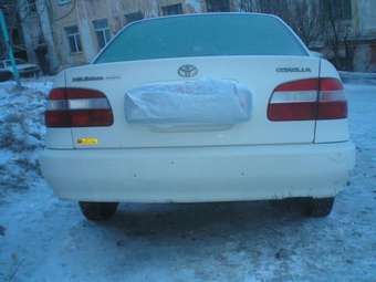 Corolla