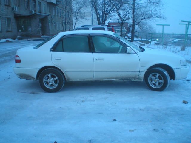 1998 Toyota Corolla