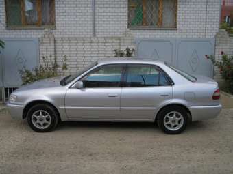 Corolla