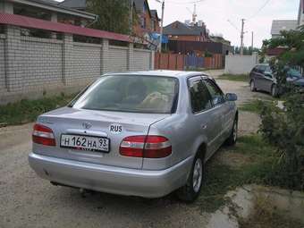 1998 Corolla