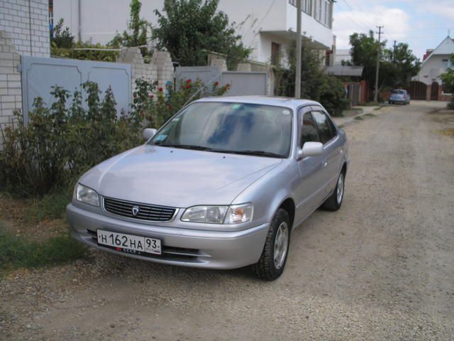 1998 Toyota Corolla