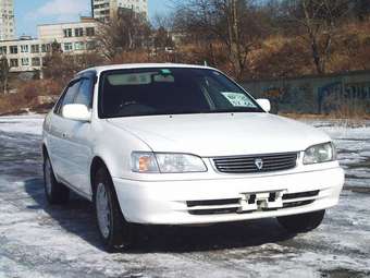 1998 Toyota Corolla