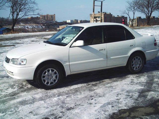 1998 Toyota Corolla
