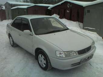 1998 Toyota Corolla