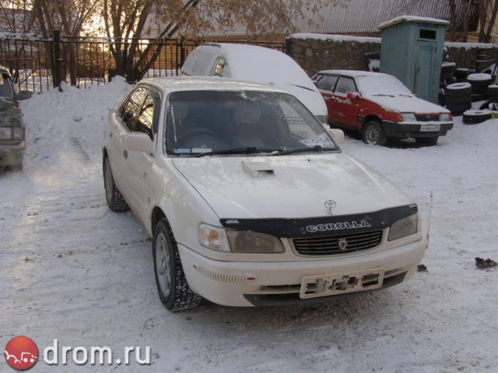 1998 Toyota Corolla