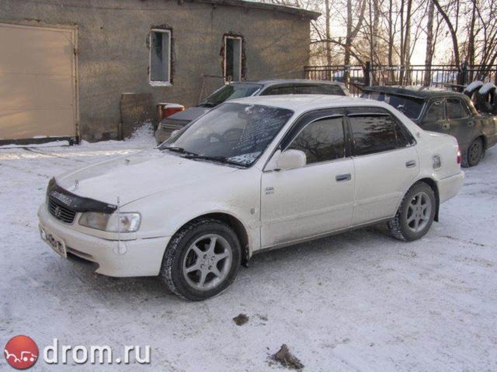 1998 Toyota Corolla
