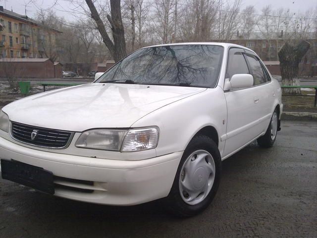 1998 Toyota Corolla