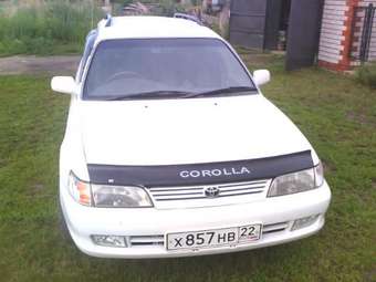 1998 Toyota Corolla