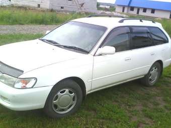 Corolla