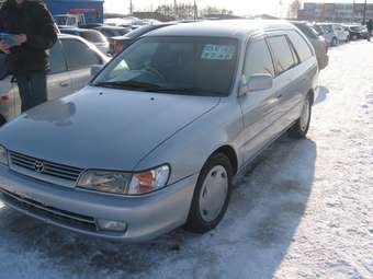 Corolla