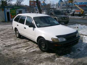 Corolla