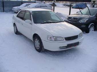 1998 Toyota Corolla